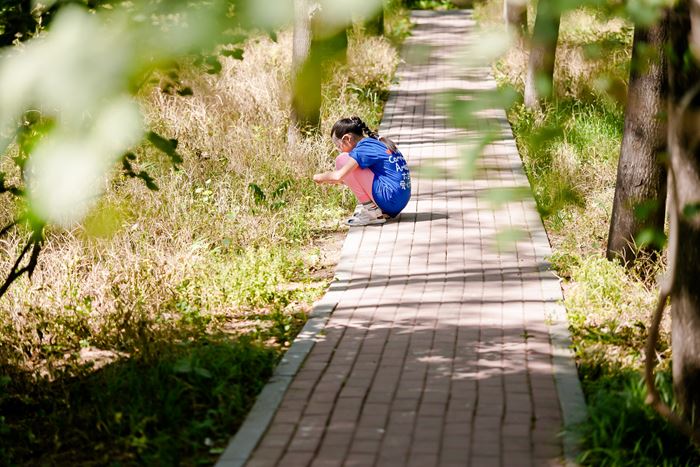 Exploring Local Ecosystems in Beijing