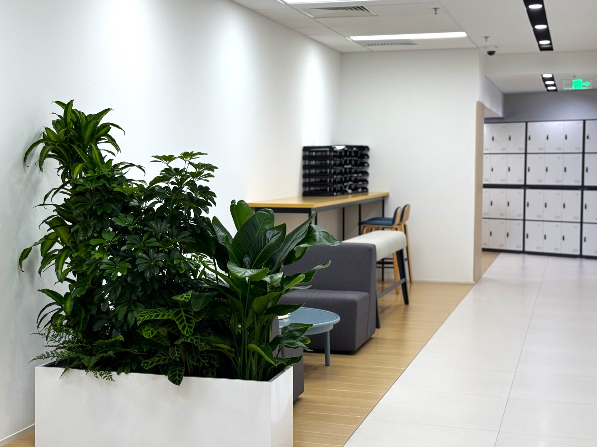 New INDIGO Property Management Space