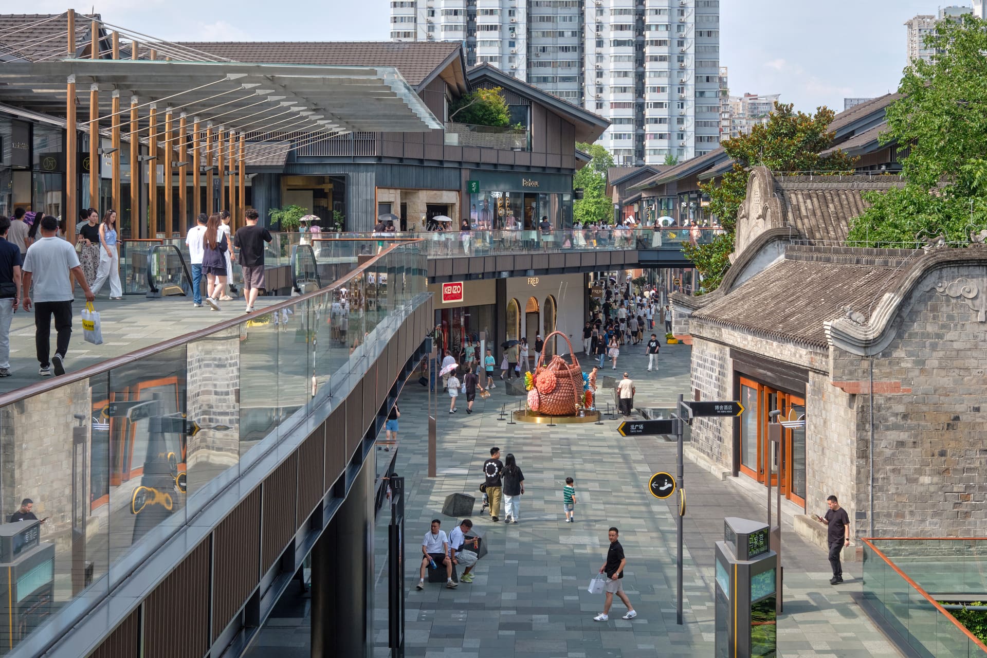 Expanding our PEDF Programmes