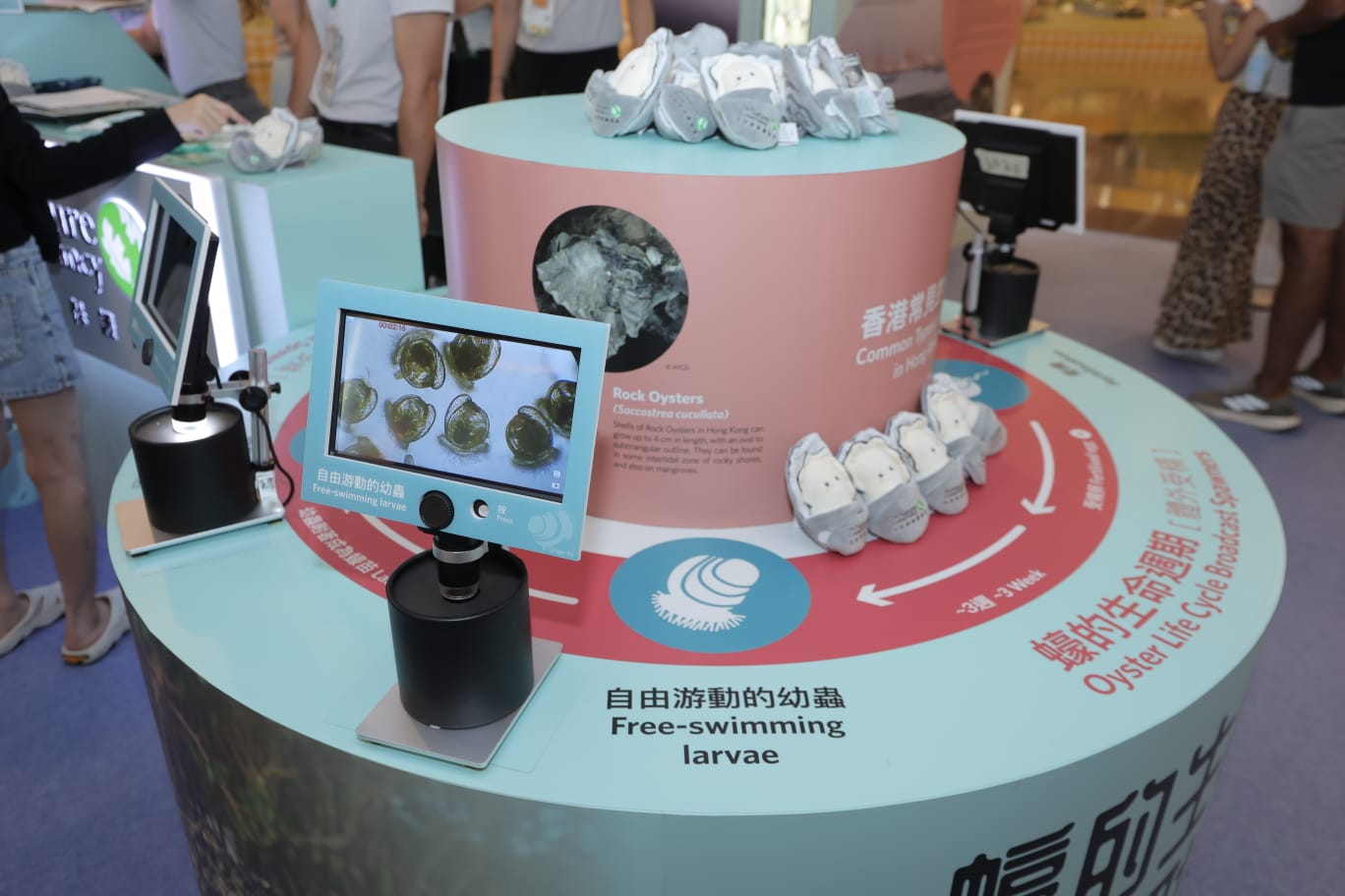 The Nature Conservancy – Oyster Reef Restoration Roving Exhibition