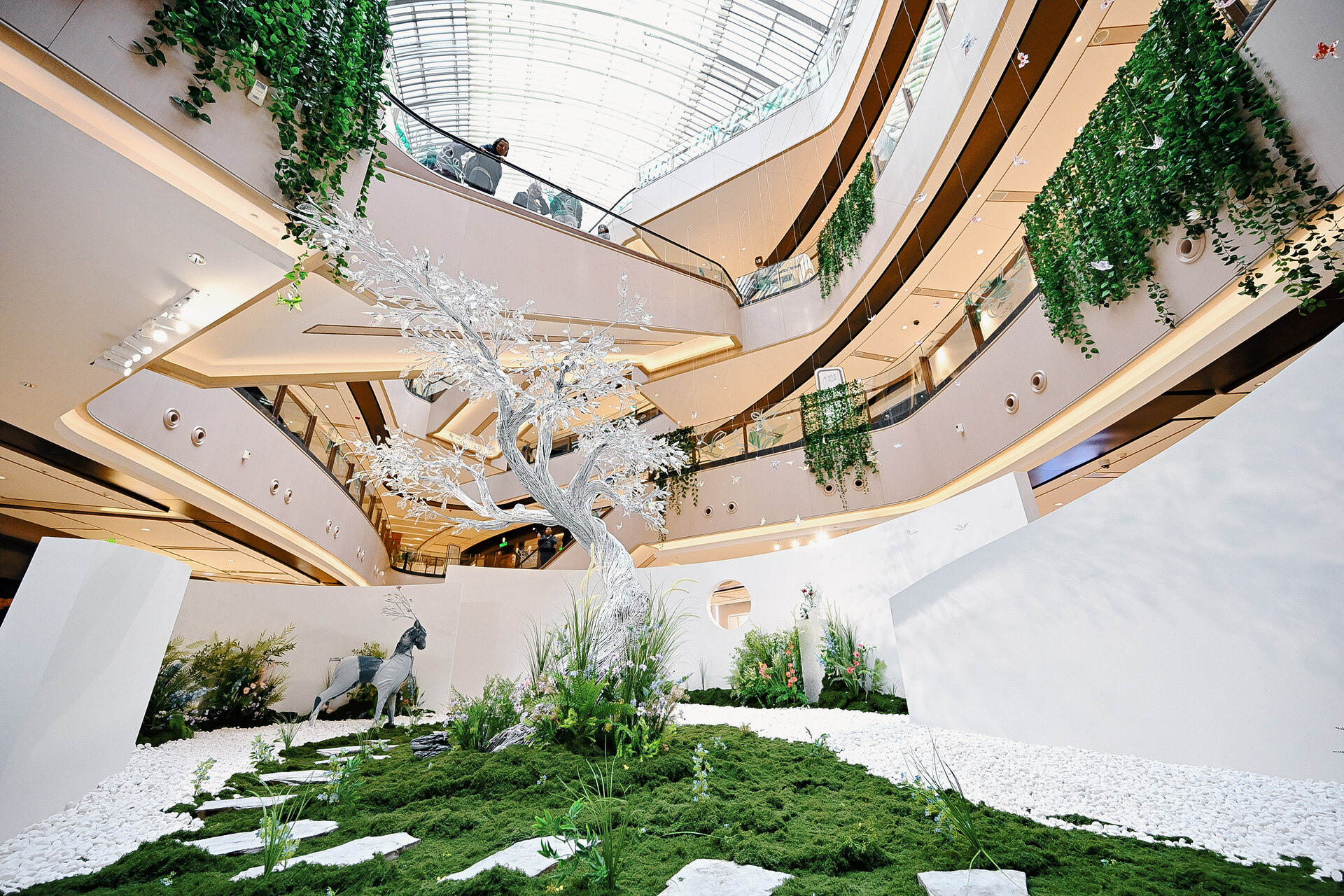 Dare for More Dare to Spring