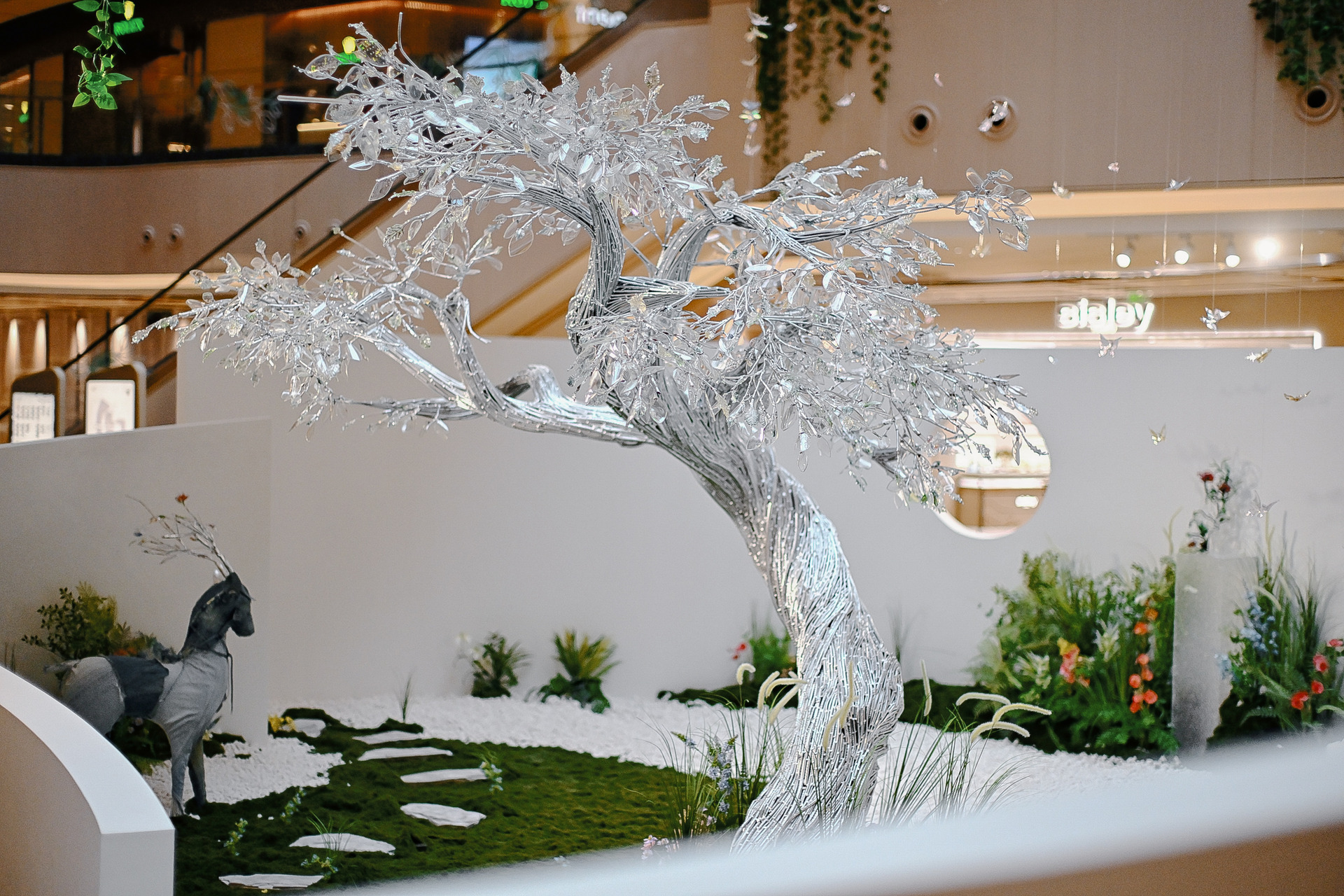 Dare for More Dare to Spring