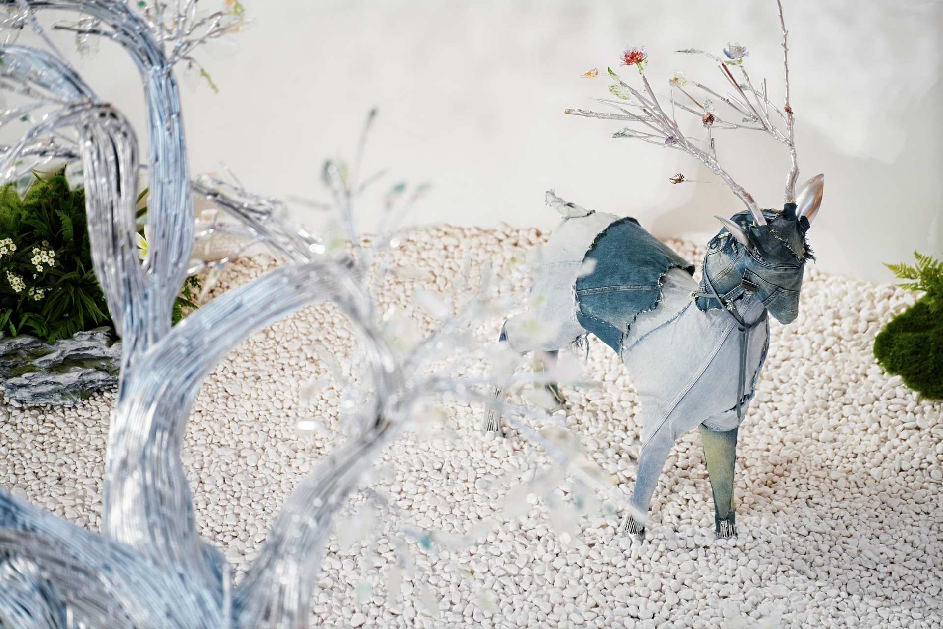 Dare for More Dare to Spring