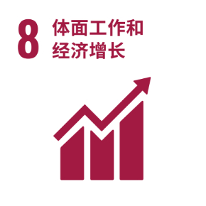 SDG 8 ─ 体面工作和经济增长