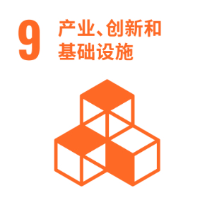 SDG 9 ─ 发展、创新和基础设施